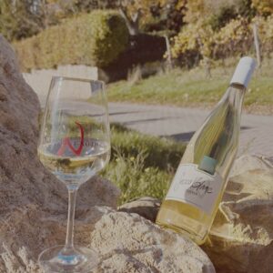 Secco Blanc
